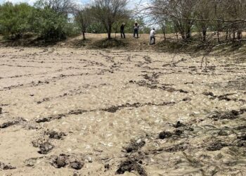PN con sequía severa y aún con sobreexplotación de acuífero