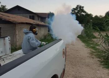 Detectan nuevo caso grave de dengue en PN
