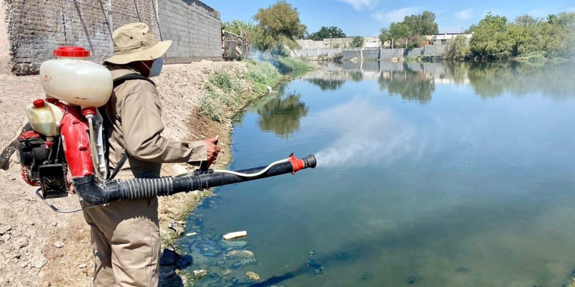 Confirman más de mil casos de dengue en Coahuila; 21 en Piedras Negras