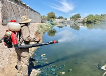 Confirman más de mil casos de dengue en Coahuila; 21 en Piedras Negras