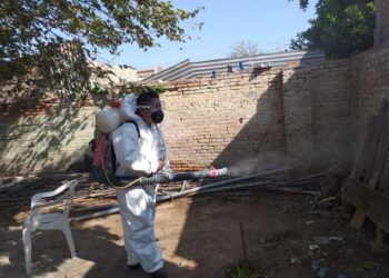 Confirma IMSS mil casos de dengue en Coah; PN y Torreón con mayor incidencia