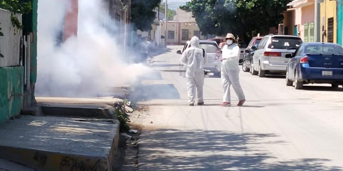 Registra Coah cifra más alta de dengue en la década; más de 2 mil casos