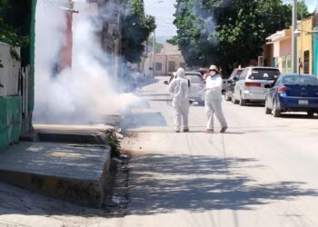 Registra Coah cifra más alta de dengue en la década; más de 2 mil casos