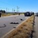Hombre pierde la vida tras arrojarse al tráfico en carretera 57