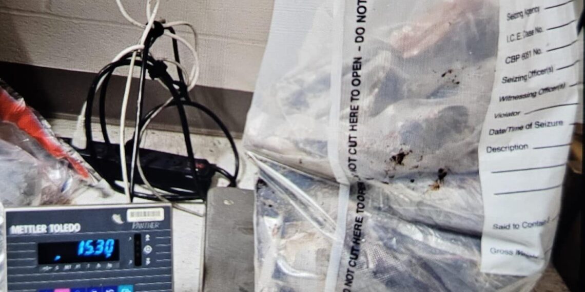 Decomisan más de medio millón de dlls en heroína en Puente Dos de Eagle Pass
