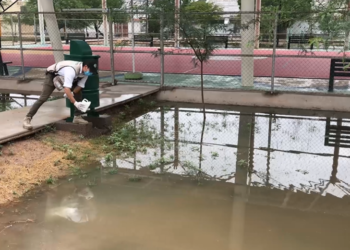 Reporta Coah mil 930 casos de dengue; en Región Nte 10 en 15 días