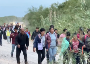 Continúan cruces masivos en área PN-EP; detienen esta mañana 140 migrantes