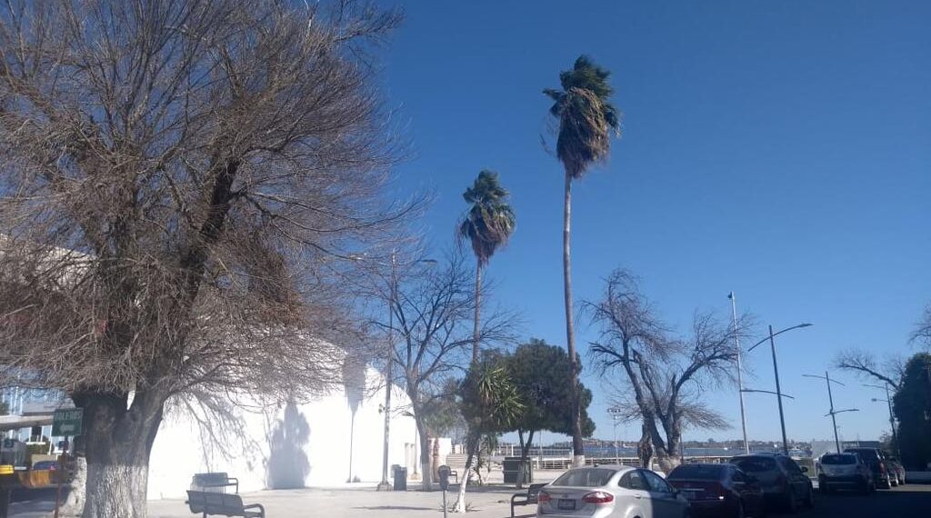 Llega nuevo sistema frontal moderado y se atrasa el frío en PN