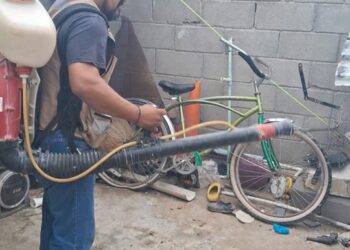 Reportan otras 2 muertes por dengue en PN