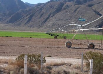 Tras 40 años y con problemas de sobreexplotación regresará LALA concesiones de agua en Cuatrociénegas
