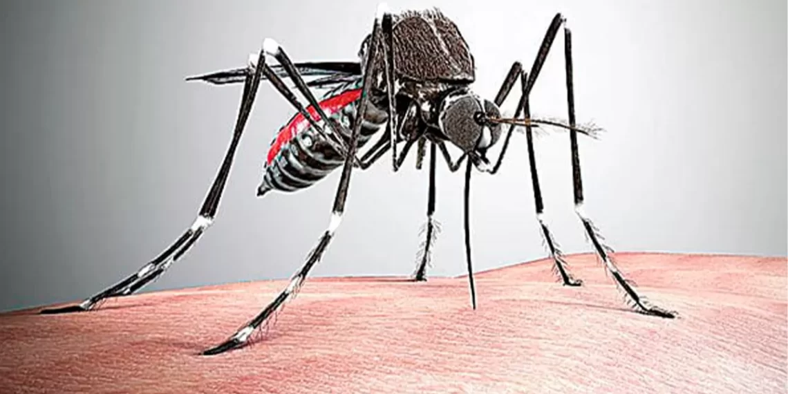 Supera Coah más de 3 mil casos de dengue y 15 fallecimientos en el año