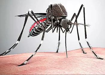 Supera Coah más de 3 mil casos de dengue y 15 fallecimientos en el año