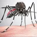 Supera Coah más de 3 mil casos de dengue y 15 fallecimientos en el año
