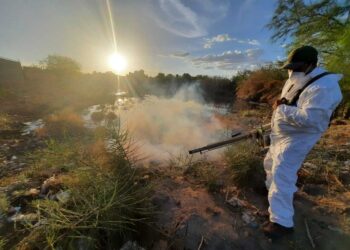 Fallecen 2 menores por dengue en Región Centro de Coah