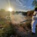Fallecen 2 menores por dengue en Región Centro de Coah
