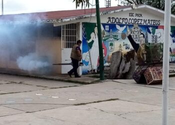 Hay en Piedras Negras 329 casos de dengue