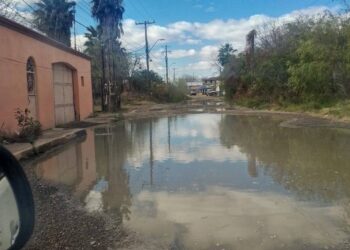 Piden solución a laguna de drenaje en col Malvinas