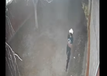 Roban en escuela primaria de colonia Presidentes