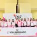 SE INSTALA EL VOLUNTARIADO DEL DIF MUNICIPAL 2025–2027