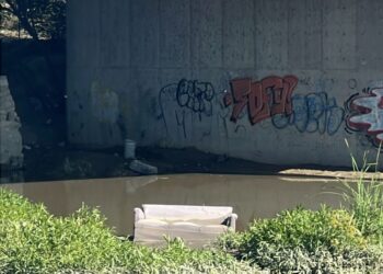 Comunicado de Mpio sobre hallazgo de peces muertos en arroyo «Las Vacas»