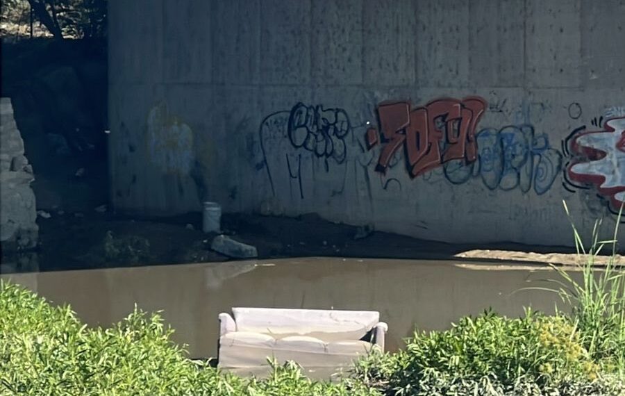 Comunicado de Mpio sobre hallazgo de peces muertos en arroyo «Las Vacas»