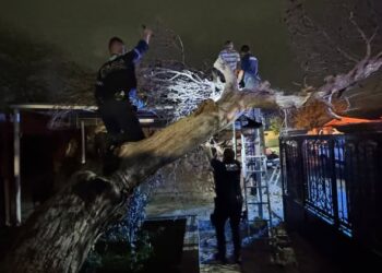 Atienden autoridades de Acuña afectaciones por lluvia, viento y granizo